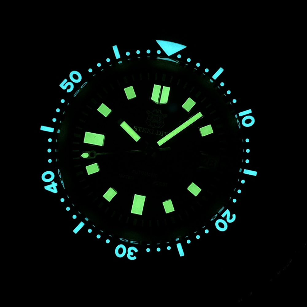 SD1970 Steeldive Brand 44MM AR - Titanium Sport Watch review and price