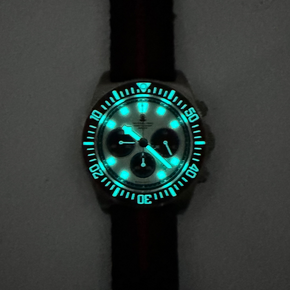 Tactical Frog Men Chronograph  - Titanium Sport Watch review and price